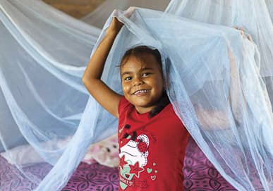 Mosquito Nets